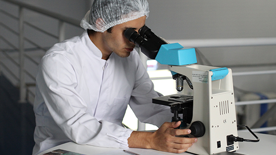 photo of a scientist looking through a microscope