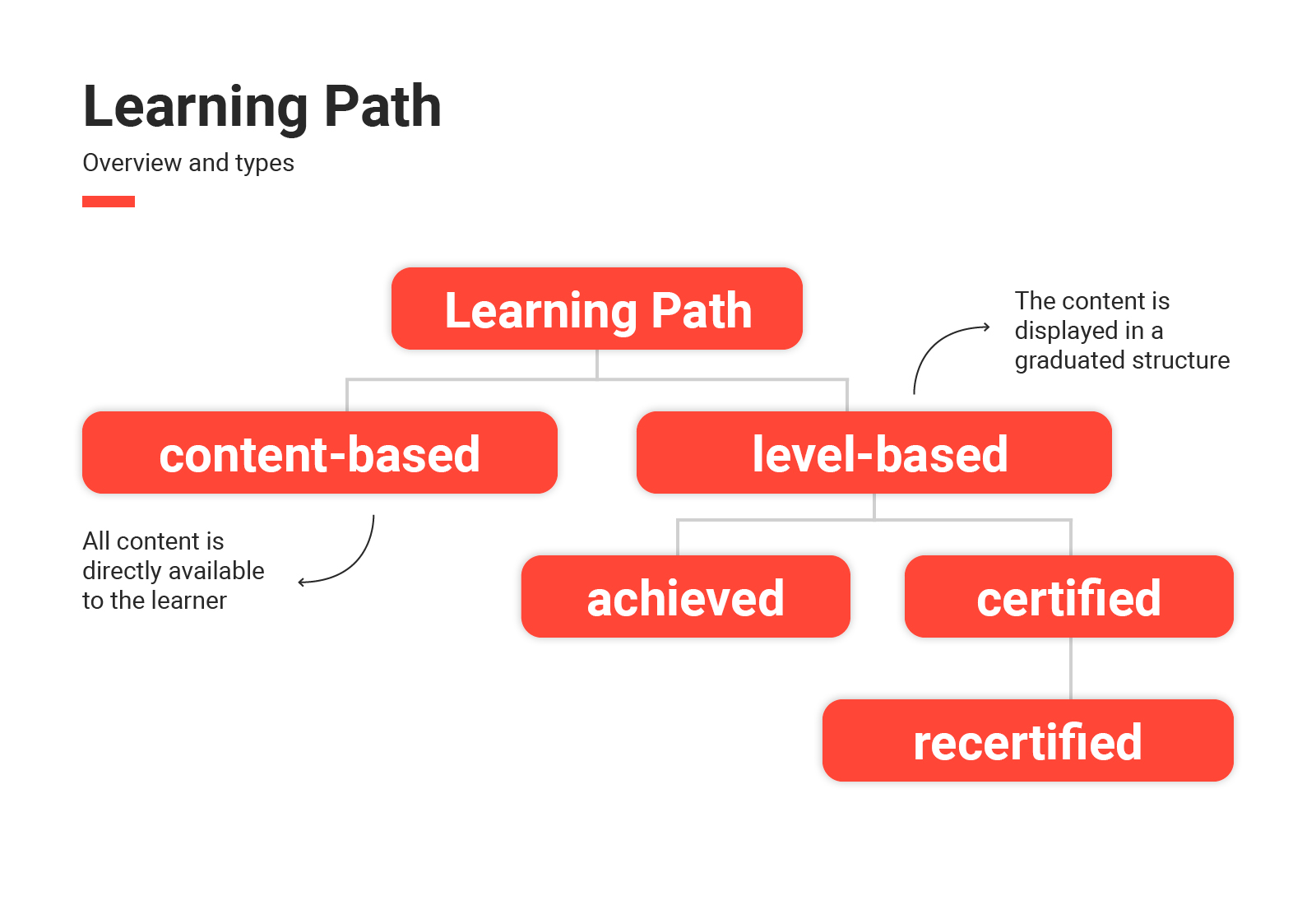 learning path graphic