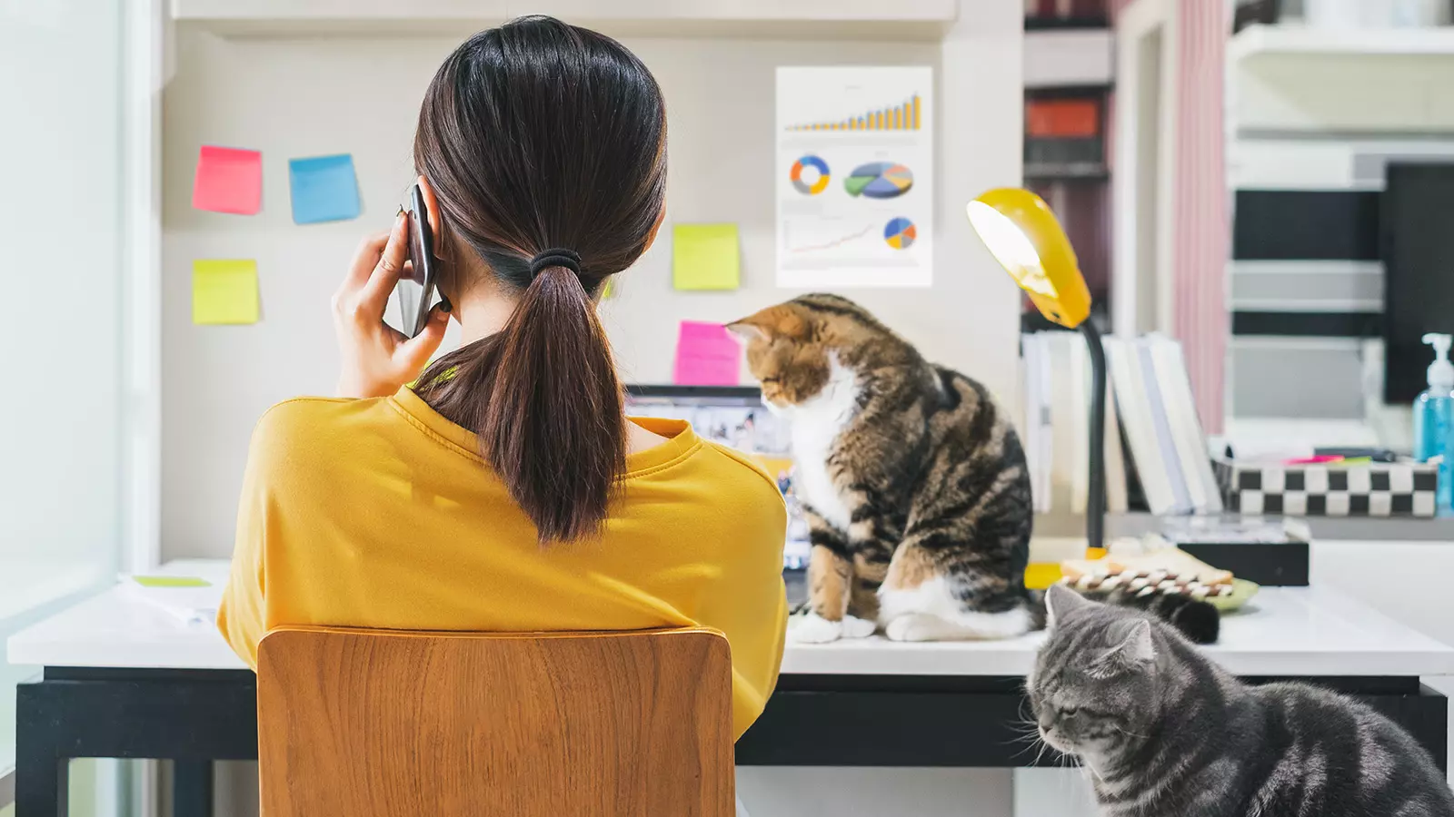 woman working from home with cats on her desk